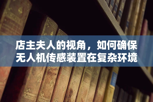 店主夫人的视角，如何确保无人机传感装置在复杂环境中的精准定位？