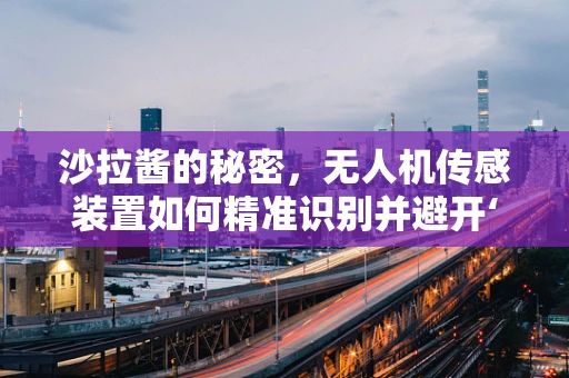 沙拉酱的秘密，无人机传感装置如何精准识别并避开‘空中障碍’？