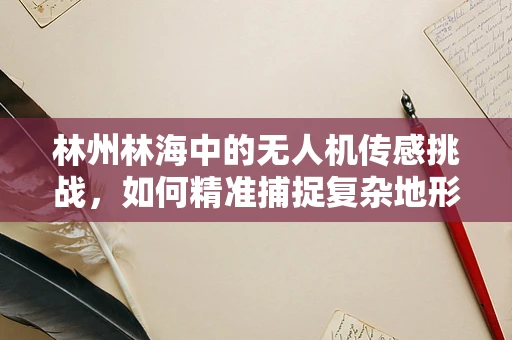 林州林海中的无人机传感挑战，如何精准捕捉复杂地形数据？