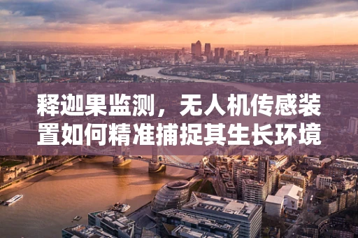 释迦果监测，无人机传感装置如何精准捕捉其生长环境？