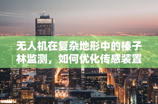 无人机在复杂地形中的榛子林监测，如何优化传感装置的精准度？