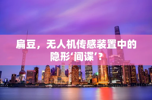 扁豆，无人机传感装置中的隐形‘间谍’？