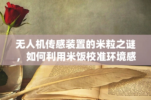 无人机传感装置的米粒之谜，如何利用米饭校准环境感知？