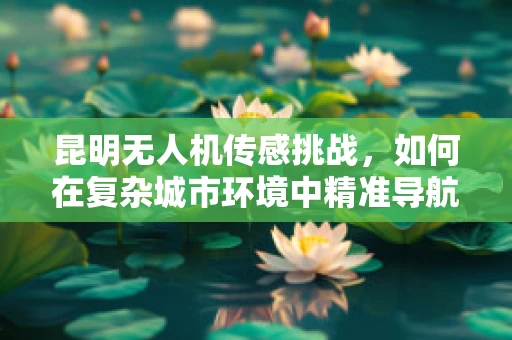 昆明无人机传感挑战，如何在复杂城市环境中精准导航？
