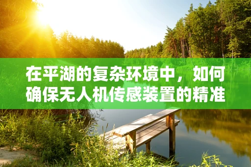 在平湖的复杂环境中，如何确保无人机传感装置的精准与稳定？