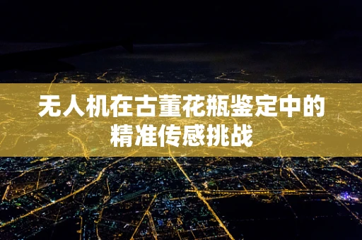 无人机在古董花瓶鉴定中的精准传感挑战
