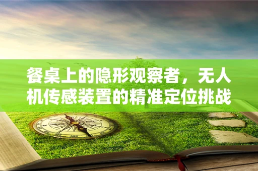 餐桌上的隐形观察者，无人机传感装置的精准定位挑战