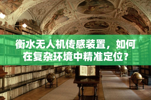 衡水无人机传感装置，如何在复杂环境中精准定位？