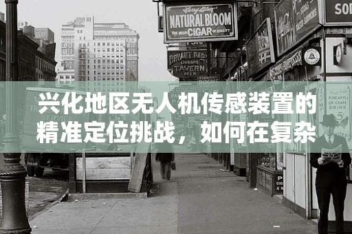 兴化地区无人机传感装置的精准定位挑战，如何在复杂地形中确保稳定飞行？