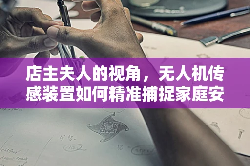 店主夫人的视角，无人机传感装置如何精准捕捉家庭安全细节？