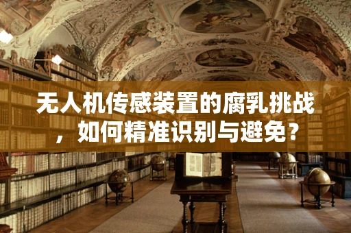 无人机传感装置的腐乳挑战，如何精准识别与避免？