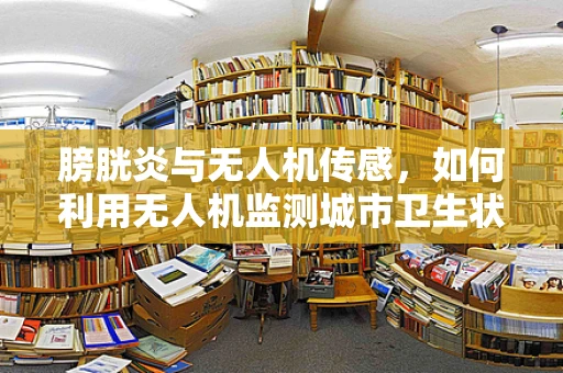 膀胱炎与无人机传感，如何利用无人机监测城市卫生状况？