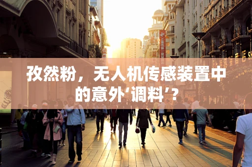 孜然粉，无人机传感装置中的意外‘调料’？