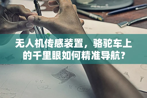 无人机传感装置，骆驼车上的千里眼如何精准导航？