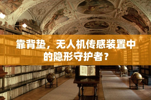 靠背垫，无人机传感装置中的隐形守护者？