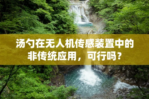 汤勺在无人机传感装置中的非传统应用，可行吗？