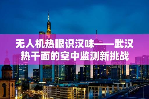 无人机热眼识汉味——武汉热干面的空中监测新挑战