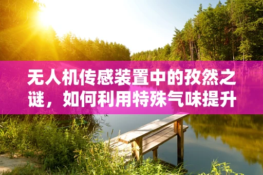 无人机传感装置中的孜然之谜，如何利用特殊气味提升环境监测精度？