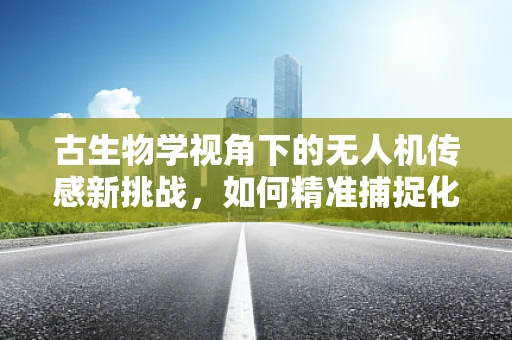 古生物学视角下的无人机传感新挑战，如何精准捕捉化石遗迹的微妙细节？