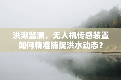 洪湖监测，无人机传感装置如何精准捕捉洪水动态？