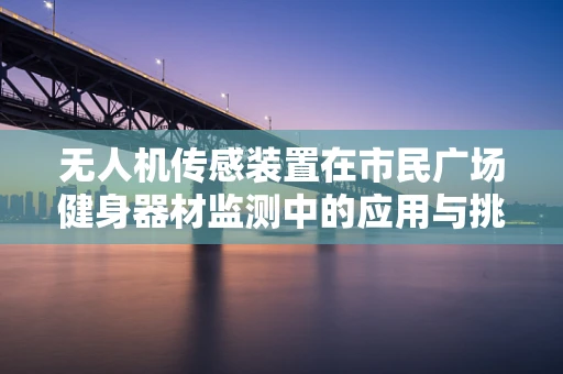 无人机传感装置在市民广场健身器材监测中的应用与挑战？