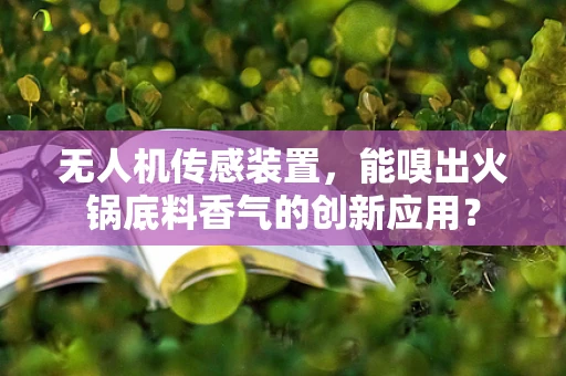 无人机传感装置，能嗅出火锅底料香气的创新应用？