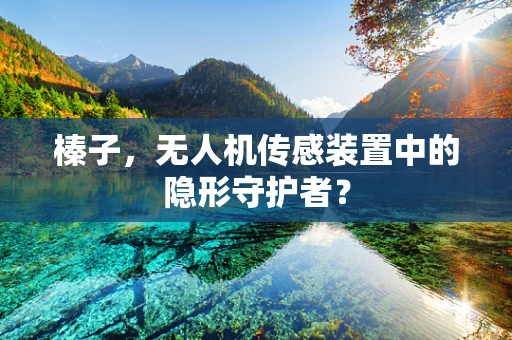榛子，无人机传感装置中的隐形守护者？