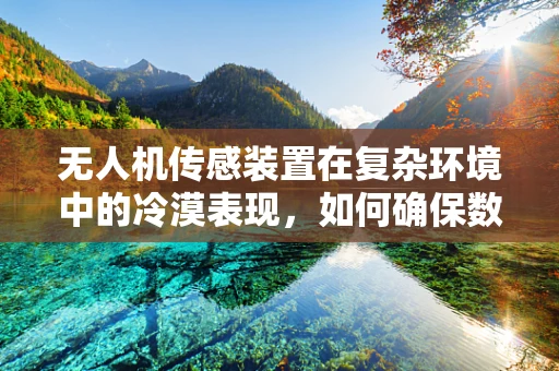 无人机传感装置在复杂环境中的冷漠表现，如何确保数据准确性？