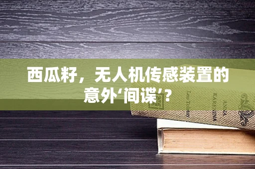 西瓜籽，无人机传感装置的意外‘间谍’？