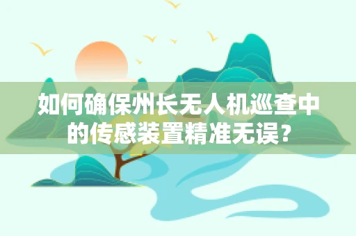 如何确保州长无人机巡查中的传感装置精准无误？