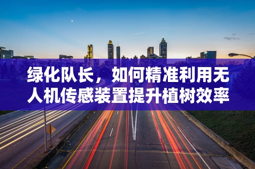 绿化队长，如何精准利用无人机传感装置提升植树效率？