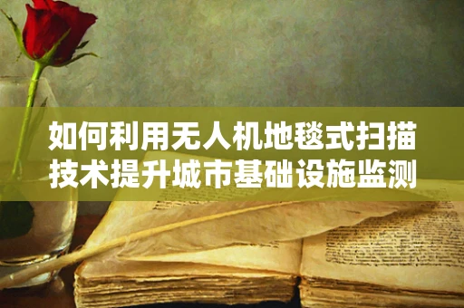 如何利用无人机地毯式扫描技术提升城市基础设施监测的精度？