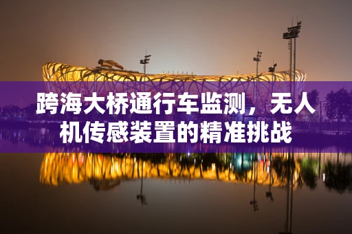 跨海大桥通行车监测，无人机传感装置的精准挑战