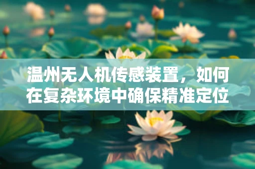 温州无人机传感装置，如何在复杂环境中确保精准定位？