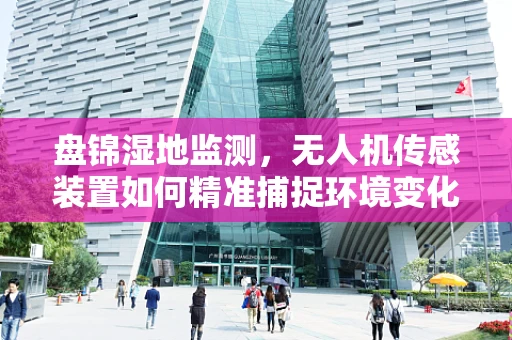 盘锦湿地监测，无人机传感装置如何精准捕捉环境变化？