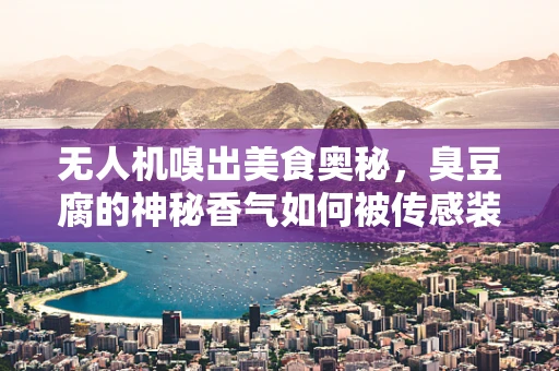 无人机嗅出美食奥秘，臭豆腐的神秘香气如何被传感装置捕捉？