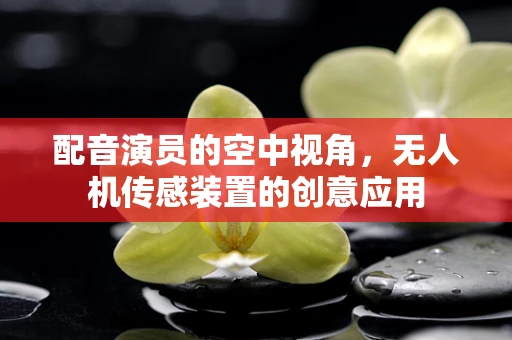 配音演员的空中视角，无人机传感装置的创意应用