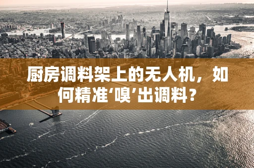 厨房调料架上的无人机，如何精准‘嗅’出调料？