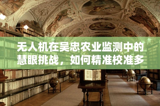 无人机在吴忠农业监测中的慧眼挑战，如何精准校准多光谱传感装置以提升作物识别精度？