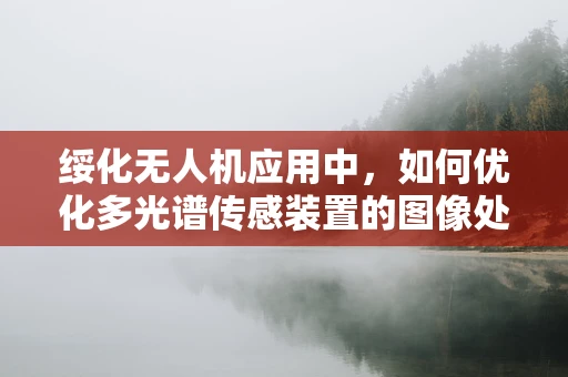 绥化无人机应用中，如何优化多光谱传感装置的图像处理算法？