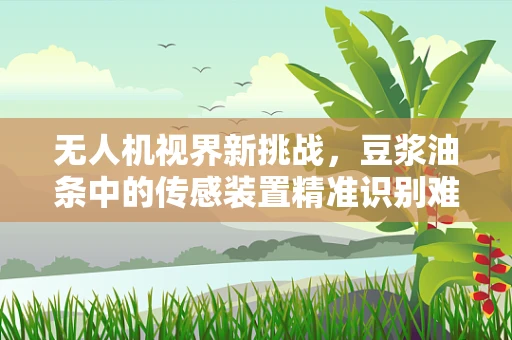无人机视界新挑战，豆浆油条中的传感装置精准识别难题
