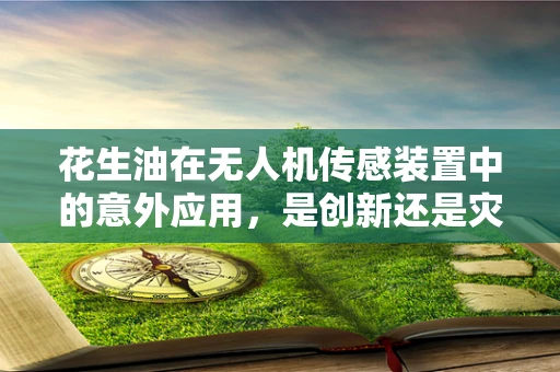 花生油在无人机传感装置中的意外应用，是创新还是灾难？