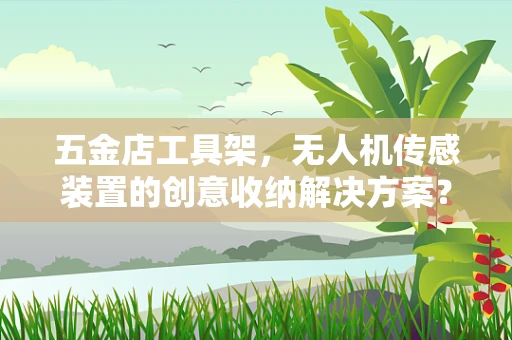 五金店工具架，无人机传感装置的创意收纳解决方案？