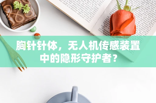 胸针针体，无人机传感装置中的隐形守护者？