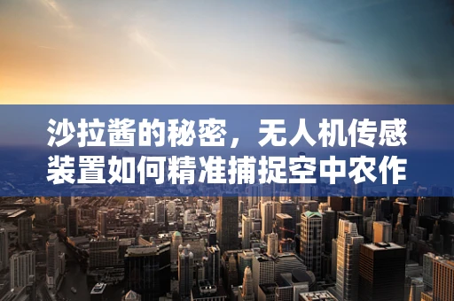沙拉酱的秘密，无人机传感装置如何精准捕捉空中农作物的‘营养’？