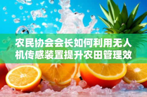 农民协会会长如何利用无人机传感装置提升农田管理效率？