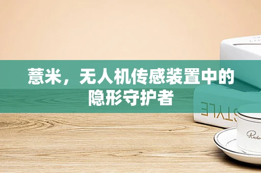 薏米，无人机传感装置中的隐形守护者