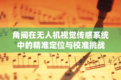 角阀在无人机视觉传感系统中的精准定位与校准挑战