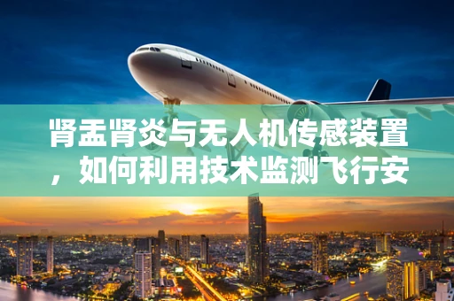 肾盂肾炎与无人机传感装置，如何利用技术监测飞行安全？
