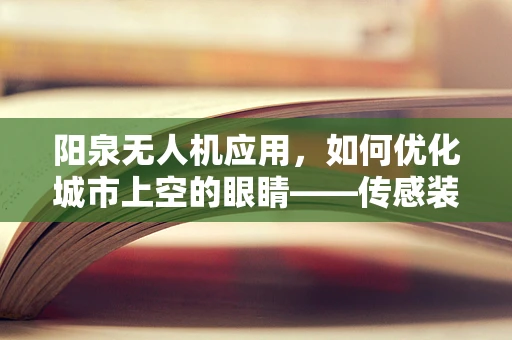 阳泉无人机应用，如何优化城市上空的眼睛——传感装置的精准配置？